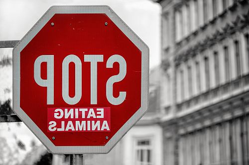 selective color of Stop eating animals signage